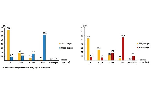 girisim ozelliklerine gore uluslararasi hizmet ticareti istatistikleri 2024