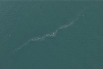 izmir korfezinde 13 dis kaynakli kirlilik vakasi