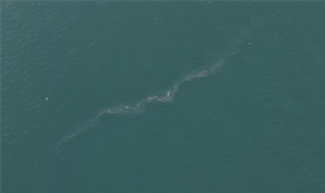 izmir korfezinde 13 dis kaynakli kirlilik vakasi