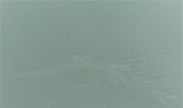 izmir korfezinde kirlilik alarmi ayni tehdit 11 kez goruldu