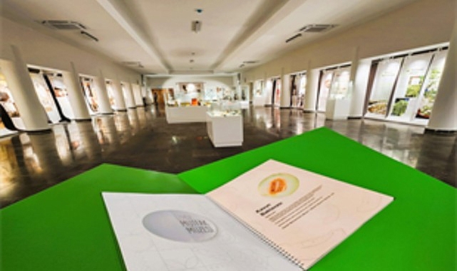 izmir mutfak muzesi ile yemek kulturune yolculuk