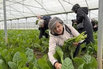 izmit sayginlar kulubu 1 yasinda