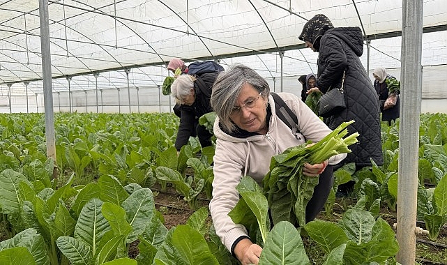 izmit sayginlar kulubu 1 yasinda