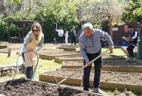 kadikoy bostanlarinda yaz donemi basladi