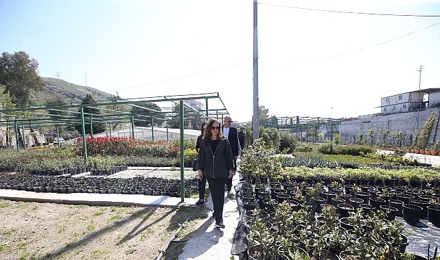 karsiyaka belediyesi uretiyor parklar cicek aciyor