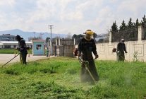 kartepede yesil alanlarda bakim seferberligi