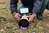 keltepe cigdemi buyuledi