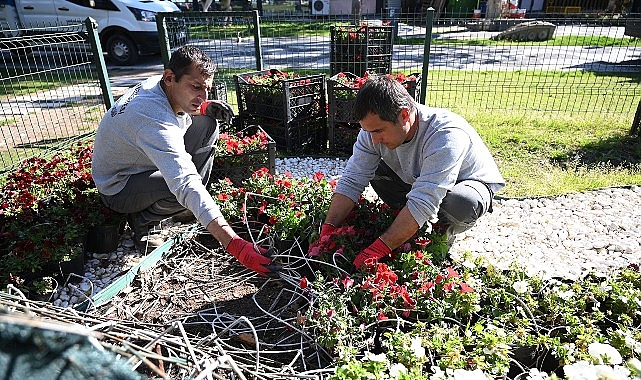 kemer yaz sezonuna hazirlaniyor ilce petunyalarla susleniyor