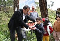 kemerde fidan dikim etkinligi