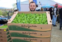 kocaelide ciftcilere sebze fidesi destegi