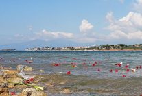 kovela limaninda duygu dolu toren