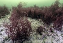 mekanin sahipleri geri dondu