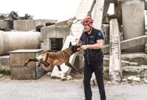 momo enkaz icin egitiliyor