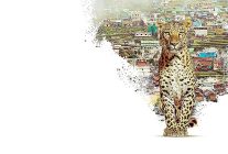 nilgiri daglarini kesfe cikaran nilgiris mavi daglarin hikayesi 22 nisan carsamba 20 00de national geographic wild ekranlarinda