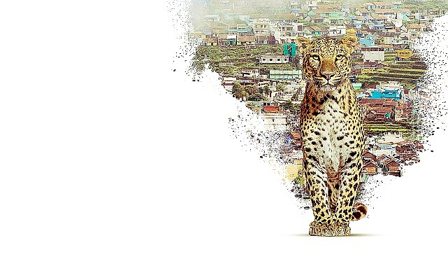 nilgiri daglarini kesfe cikaran nilgiris mavi daglarin hikayesi 22 nisan carsamba 20 00de national geographic wild ekranlarinda