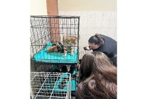 patili dostlara anlamli destek