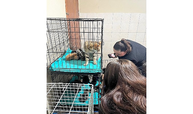 Patili dostlara anlamlı destek 1 patili dostlara anlamli destek