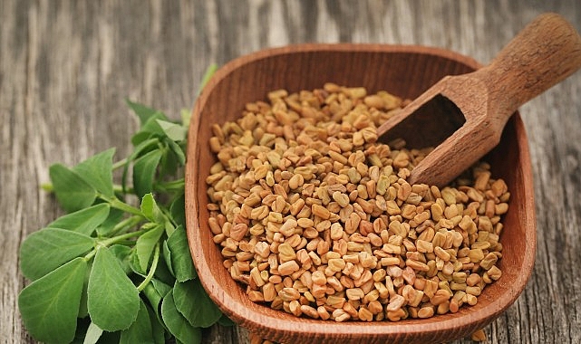 prof dr nurhan unusan demirhindi bamya ve cemen otu mikroplastiklere karsi dogal cozum sunuyor