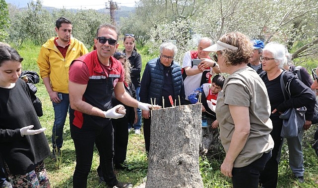 seferihisar belediyesi ve ilce tarimdan mudurlugunden uygulamali egitim