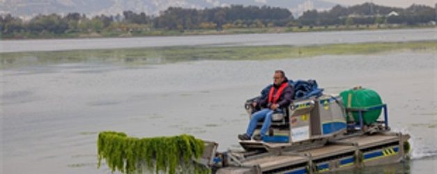 temiz korfez icin gediz vurgusu