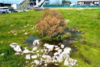 torbali belediyesinden halk sagligi icin seferberlik torbalida 12 ay ilaclama