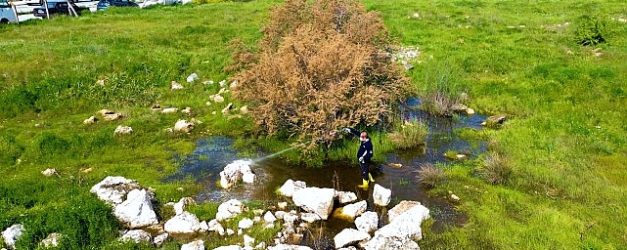 torbali belediyesinden halk sagligi icin seferberlik torbalida 12 ay ilaclama