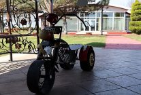 ureten kadinlara buyuksehir destegi