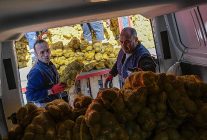 ureticiye nefes vatandasa destek