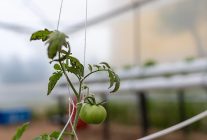 yenisehirden egitime yesil destek