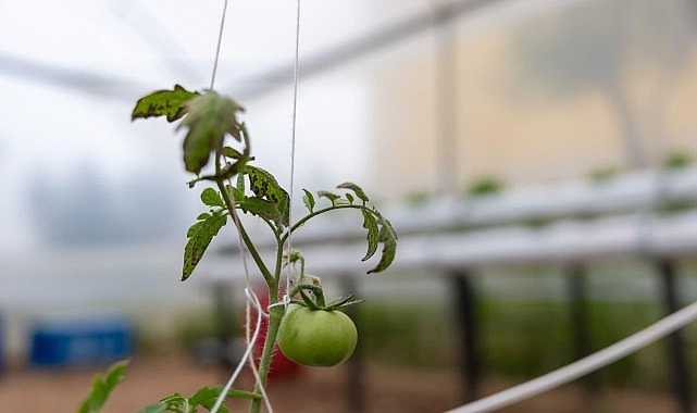 yenisehirden egitime yesil destek