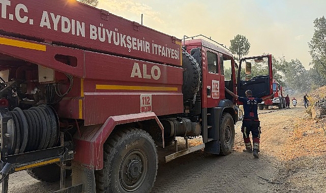 Aydın Büyükşehir Belediyesi Kuyucak'ta yangına müdahale ediyor 1 aydin buyuksehir belediyesi kuyucakta yangina mudahale ediyor