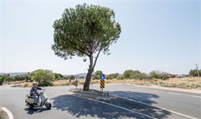 Bergama’da yollar yenileniyor, ulaşım daha güvenli hale geliyor 1 bergamada yollar yenileniyor ulasim daha guvenli hale geliyor