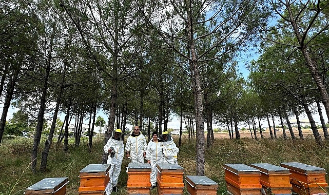 bilincli uretim kocaelinin balini turkiyeye tasiyor