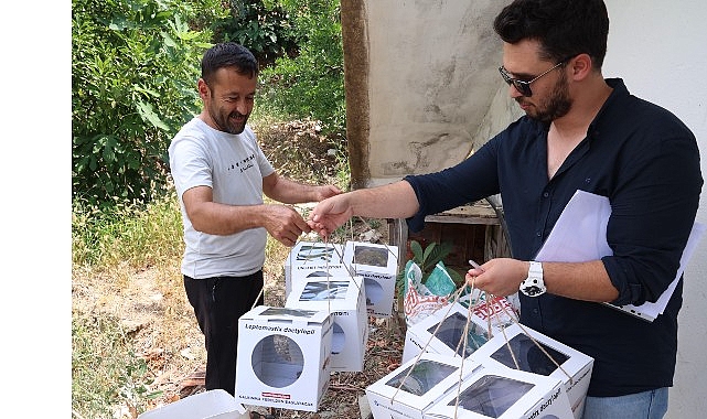 Büyükşehir’den 800 dekar araziye faydalı böcek desteği 1 buyuksehirden 800 dekar araziye faydali bocek destegi