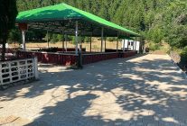buyuksehirden akseki mezarliklarinda kapsamli calisma
