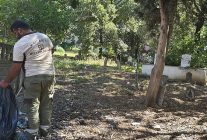 derincede mezarliklara titiz bakim