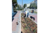 didim belediyesi kendi uretimiyle kenti guzellestiriyor