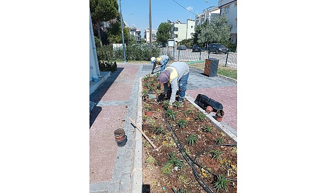 Didim Belediyesi Kendi Üretimiyle Kenti Güzelleştiriyor 1 didim belediyesi kendi uretimiyle kenti guzellestiriyor