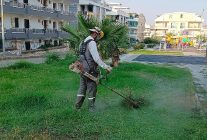 didim belediyesi kent genelinde ot bicme ve budama calismalarini surduruyor