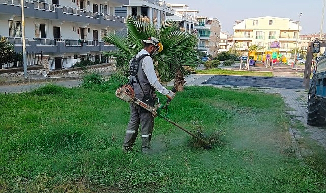 Didim Belediyesi kent genelinde ot biçme ve budama çalışmalarını sürdürüyor 1 didim belediyesi kent genelinde ot bicme ve budama calismalarini surduruyor