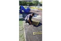 didim belediyesi parklarda bakim ve onarim calismalarini surduruyor