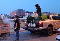didim belediyesinden sinek ve haserelere karsi kapsamli mucadele