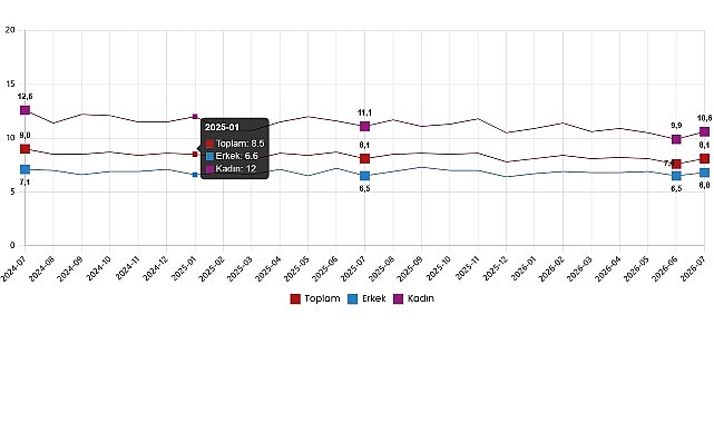 İşgücü İstatistikleri, Temmuz 2026 1 isgucu istatistikleri temmuz 2026