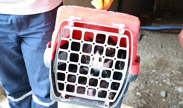 Kaçak Bina Yıkımında Hayat Kurtaran Müdahale 1 kacak bina yikiminda hayat kurtaran mudahale