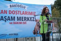 karsiyakanin patileri yeni yuvalarina kavusmayi bekliyor