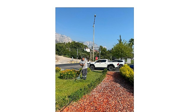 Kemer Atatürk Caddesi’nde peyzaj çalışması 1 kemer ataturk caddesinde peyzaj calismasi