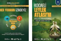 kocaelide her yuvanin izi surulecek