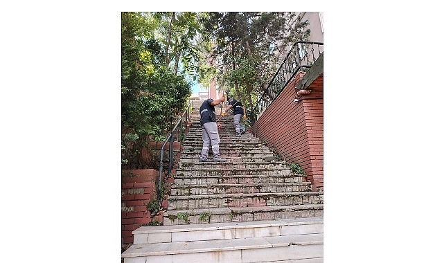 Maltepe Belediyesi’nden Altıntepe’de temizlik harekâtı 1 maltepe belediyesinden altintepede temizlik harekati
