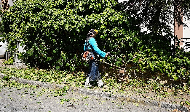 Maltepe’de çevre düzenlemesi aralıksız sürüyor 1 maltepede cevre duzenlemesi araliksiz suruyor