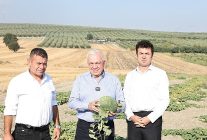 nilufer belediyesinden hirsiz almaz kavunu icin cografi isaret hazirligi